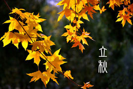 4610b912c8fcc3cedf8a5a399a45d688d43f2075